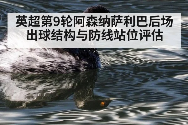 英超第9轮阿森纳萨利巴后场出球结构与防线站位评估